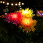 (🔥HOT REA NU 49% RABATT) - Chrysanthemum Solar Garden Stake LED