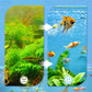 🐟🐠Professionell filterdyna för akvariet
