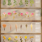 48 st Stora Torkade Blommor Stickers Set