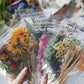 48 st Stora Torkade Blommor Stickers Set