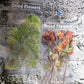 48 st Stora Torkade Blommor Stickers Set