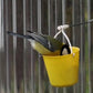 Högkvalitativ superhårdhet pariserhjulsfågelmatare🐦Fåglar kan leka i din trädgård hela dagen